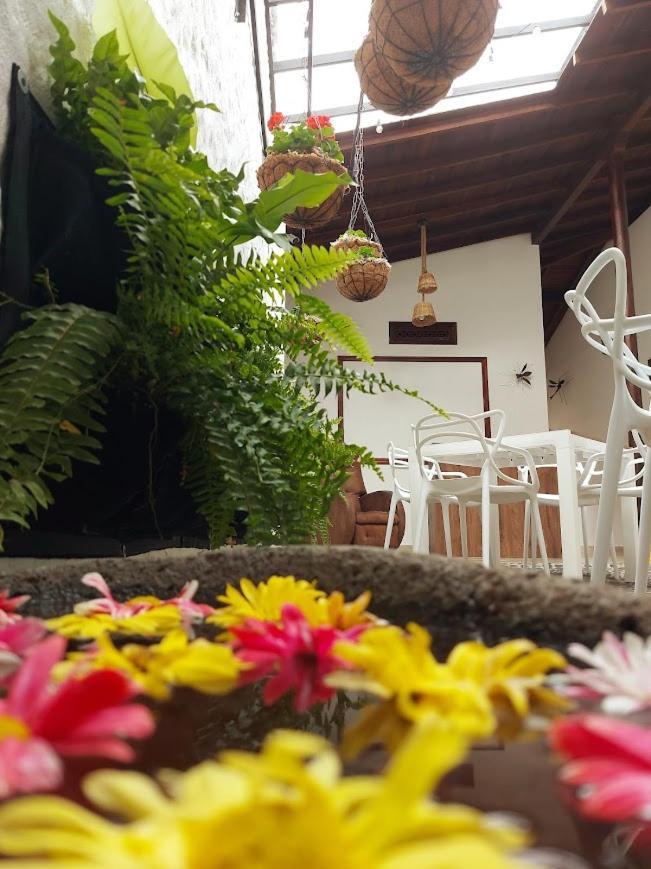 Volarte Hostal 하르딘 외부 사진